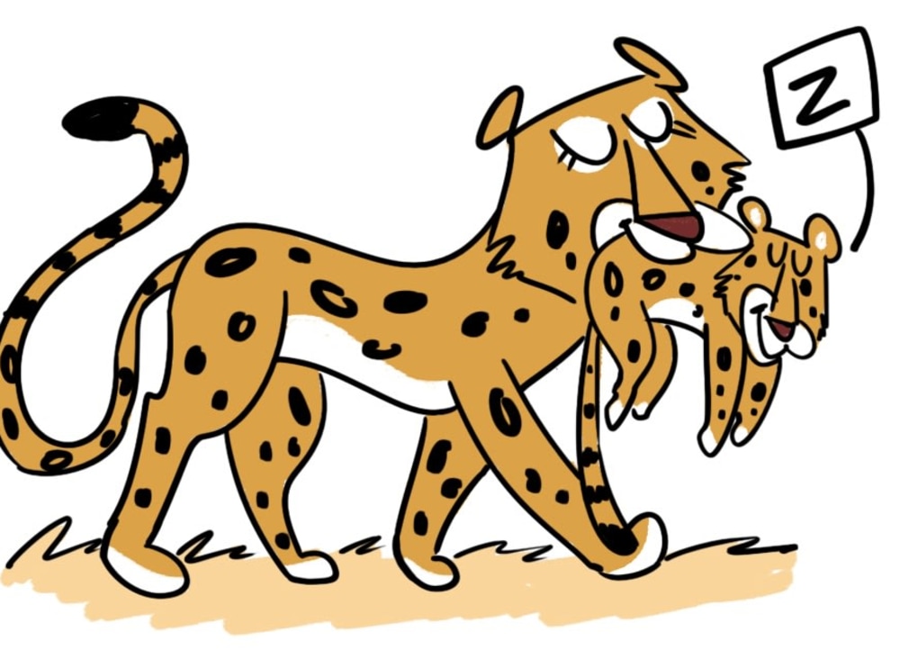 Day in the Life of a Leopard Supermom