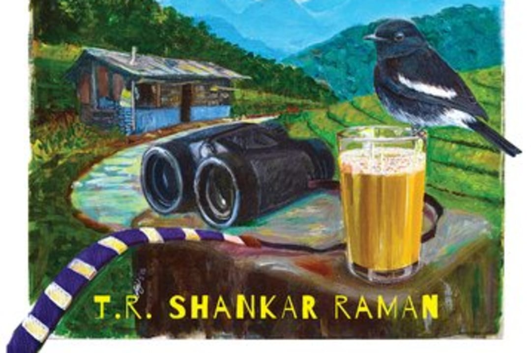 The Wild Heart of India