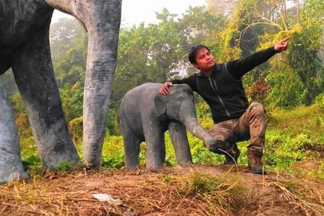 Binod ‘Dulu’ Bora: Assam’s Elephant Man