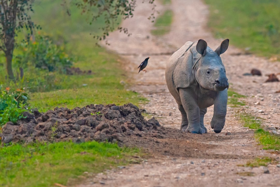 Why You Need to Take Shit Seriously