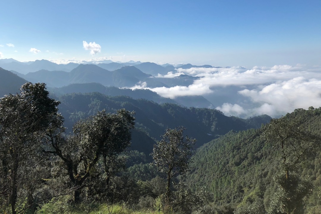 Jabarkhet Nature Reserve: A Forest Returns Home