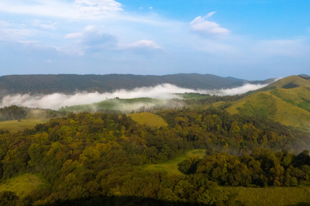 Agumbe, the Exalted Rainforest Paradise: A Guide