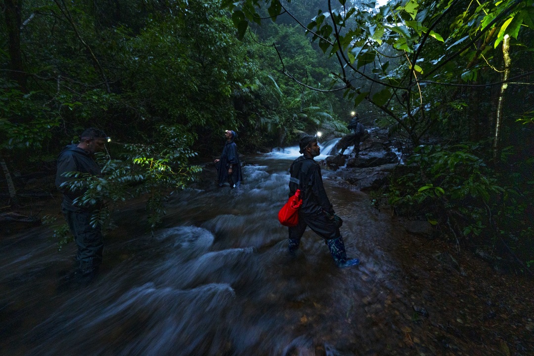 Behind the Lens: Shooting the Residents of a Rainforest