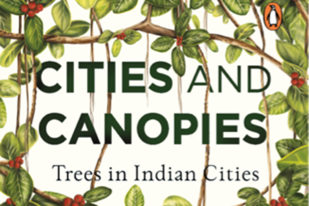 Cities and Canopies