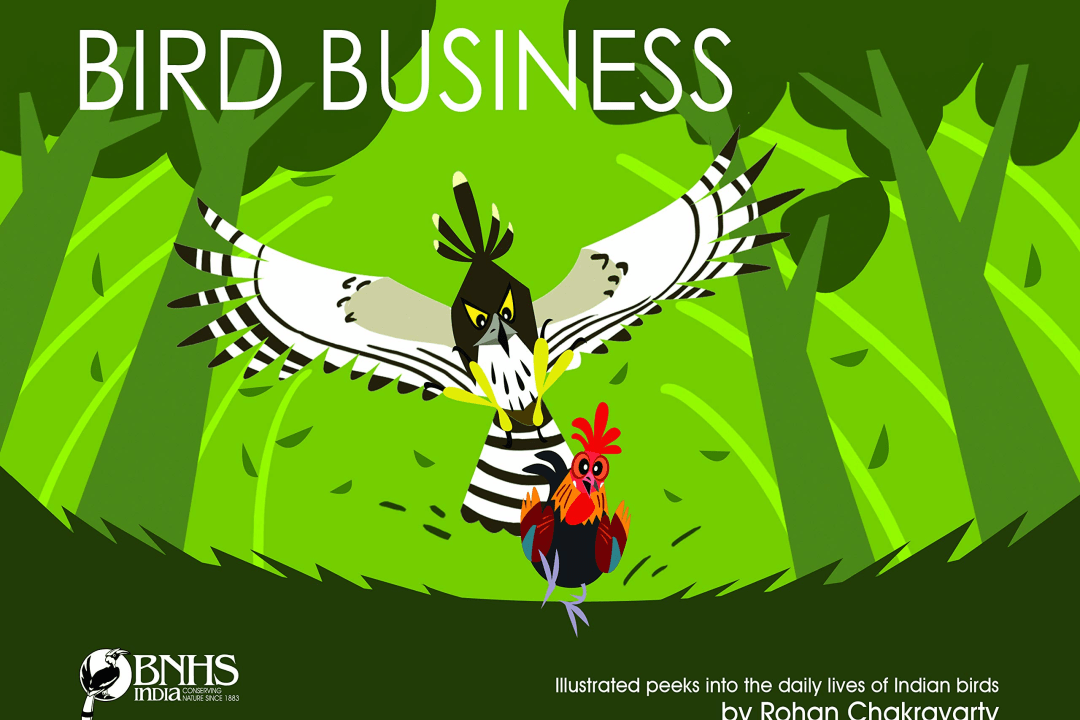 Bird Business