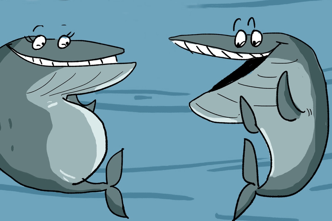 The Plastic in My Belly