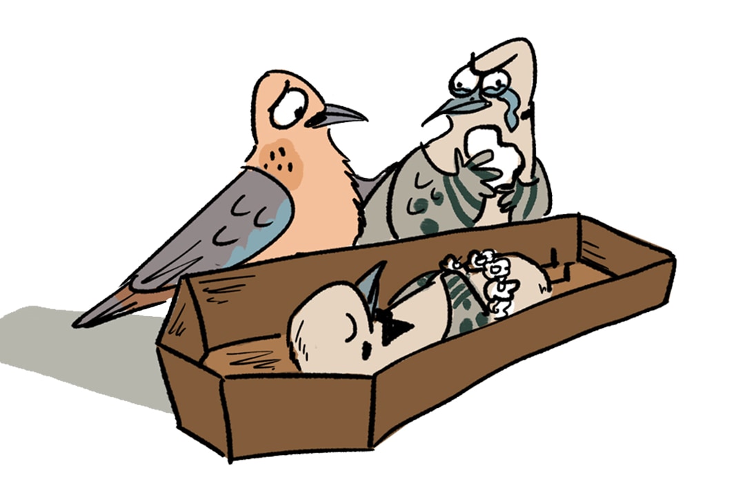 When Doves Ruffle Some Feathers