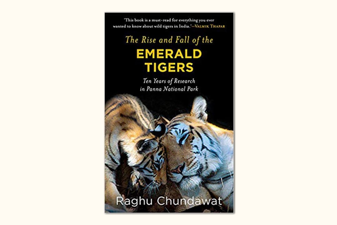 Behind the Revival of Panna’s Tigers