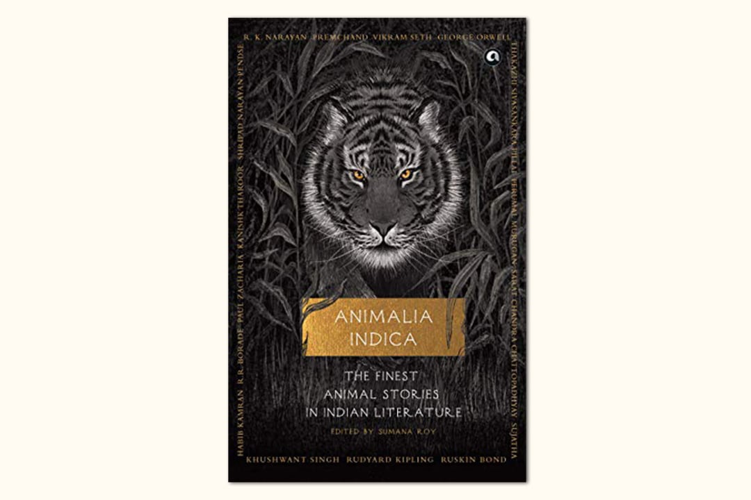 The Owlet Who Craved the Sun