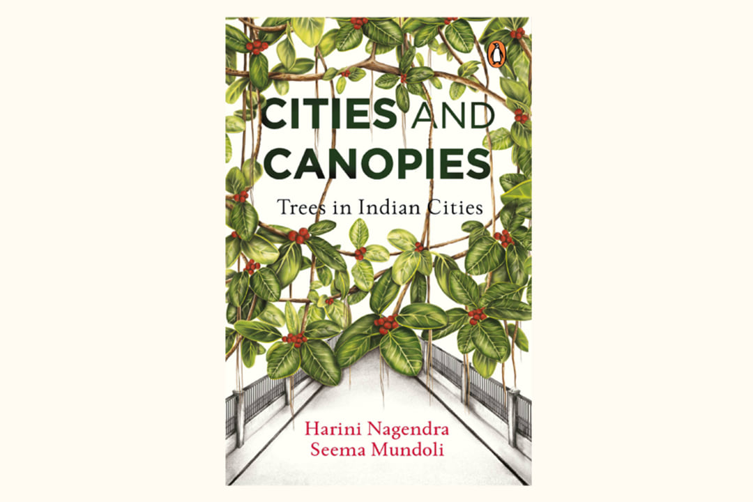 The Fellowship of the Grove