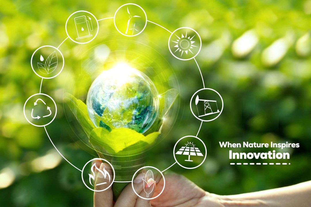 Innovation, Inspired by Nature
