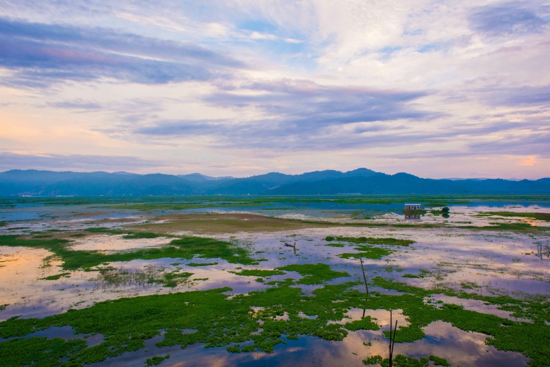 Protecting Deepor Beel’s Elephants from Train Collisons