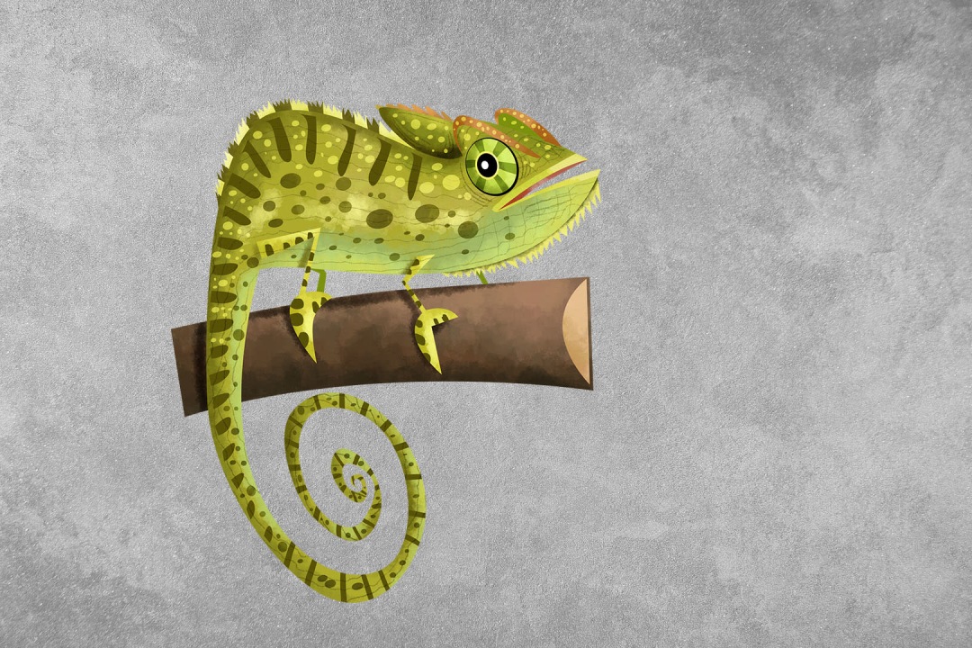 Indian Chameleon: Facts, Behaviour, Diet