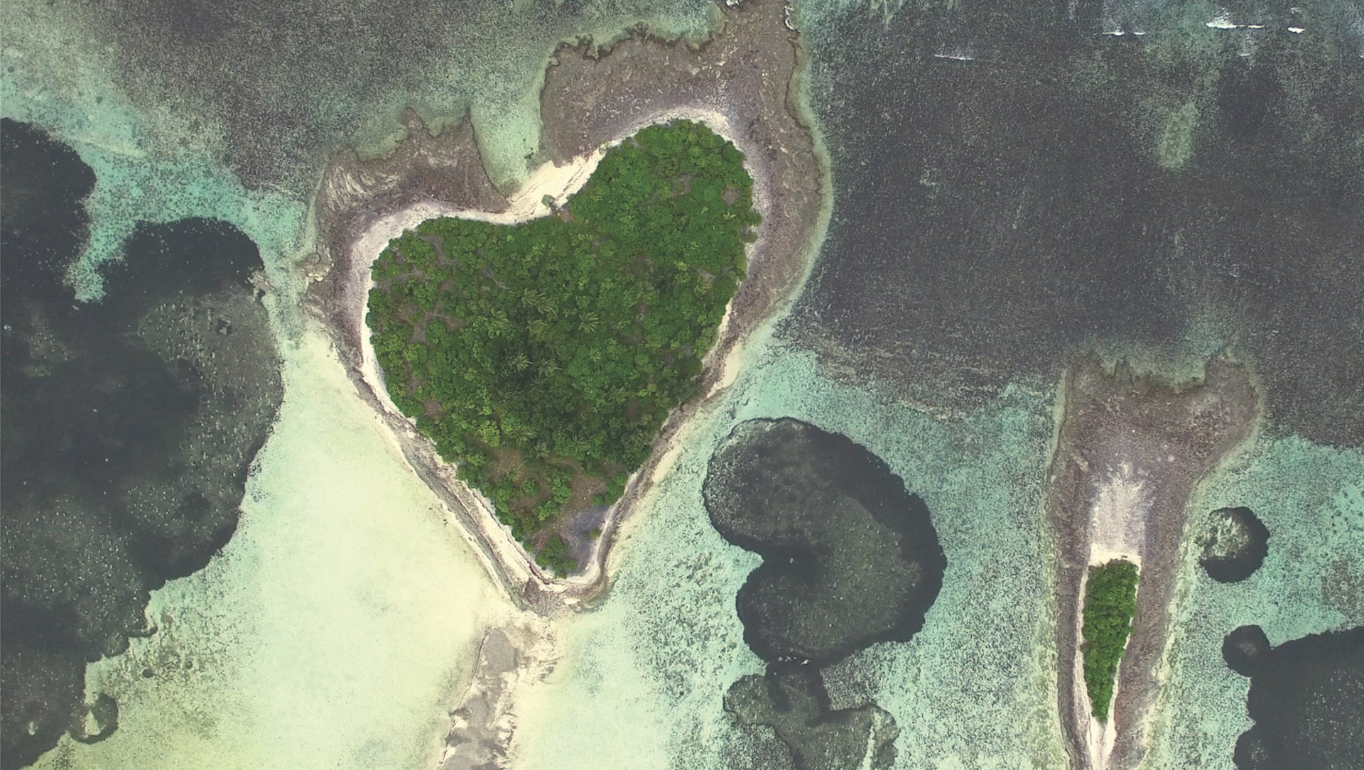 Politicians for a Positive Environmental Change