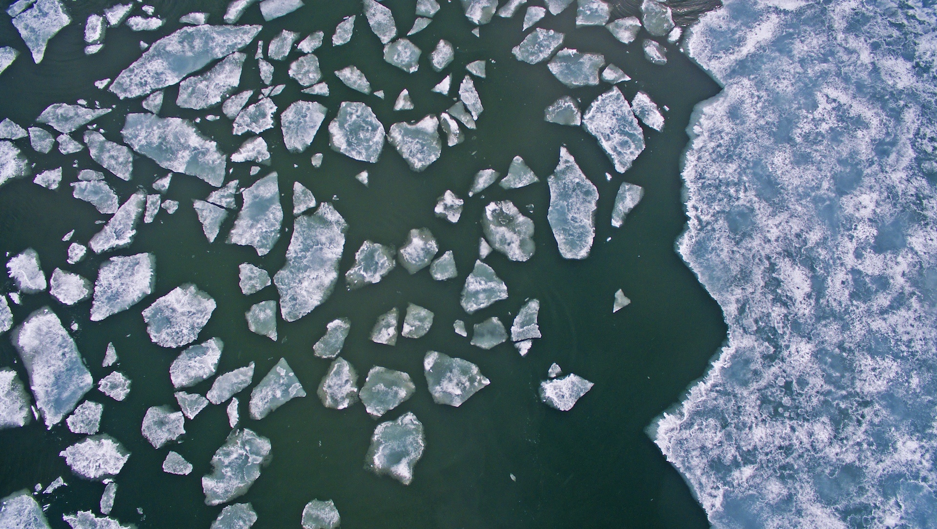 Beneath the Ice: Diving into the Arctic Waters of Svalbard