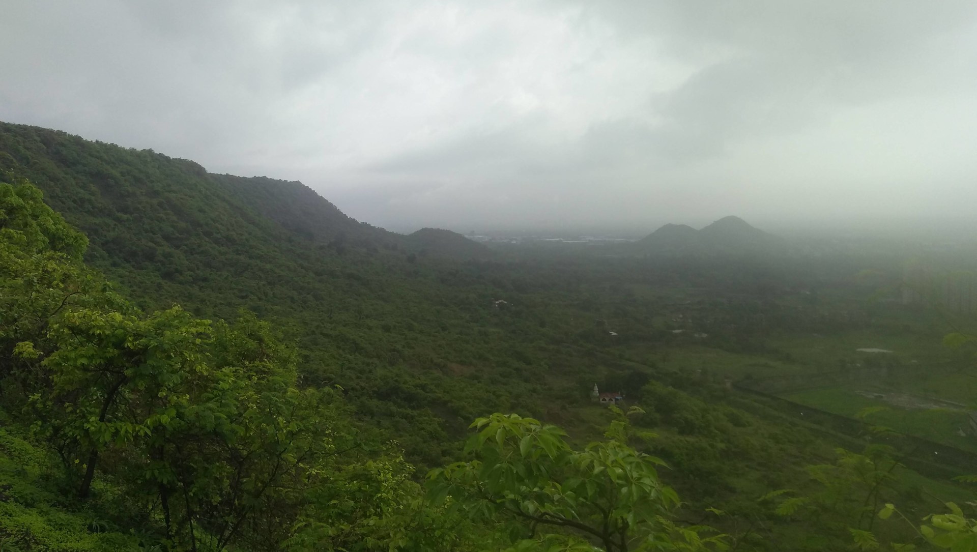 Kharghar’s Hills are Alive with the Sound of Birdsong
