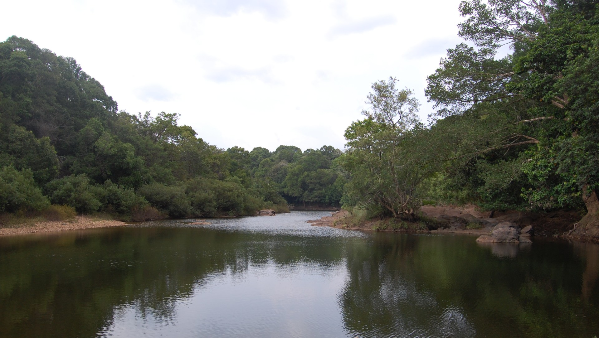 Jungle Theatrics: Along the Sitanadi at Someshwara Sanctuary