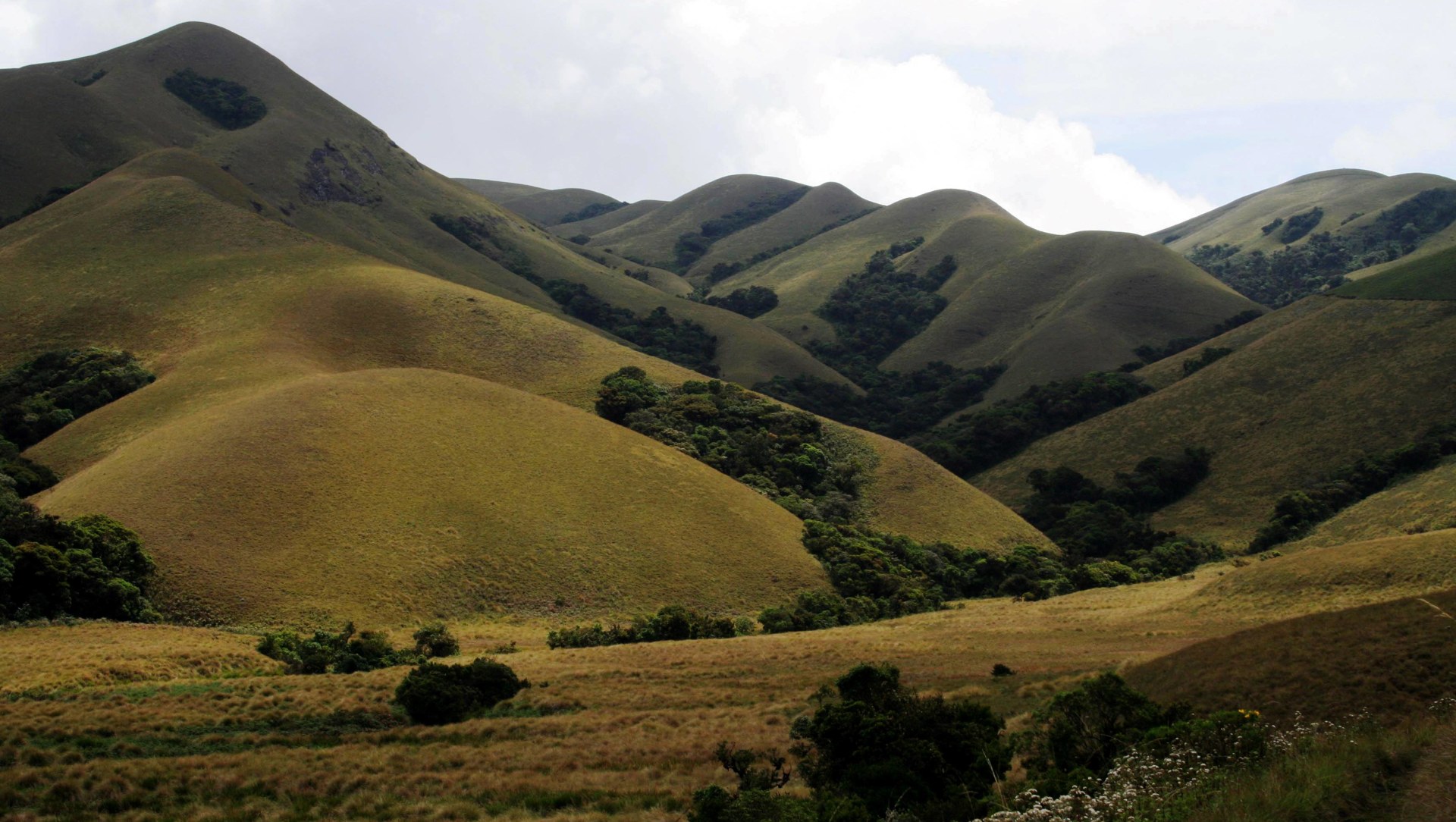 Not Wastelands: Non-forest Habitats of the Western Ghats