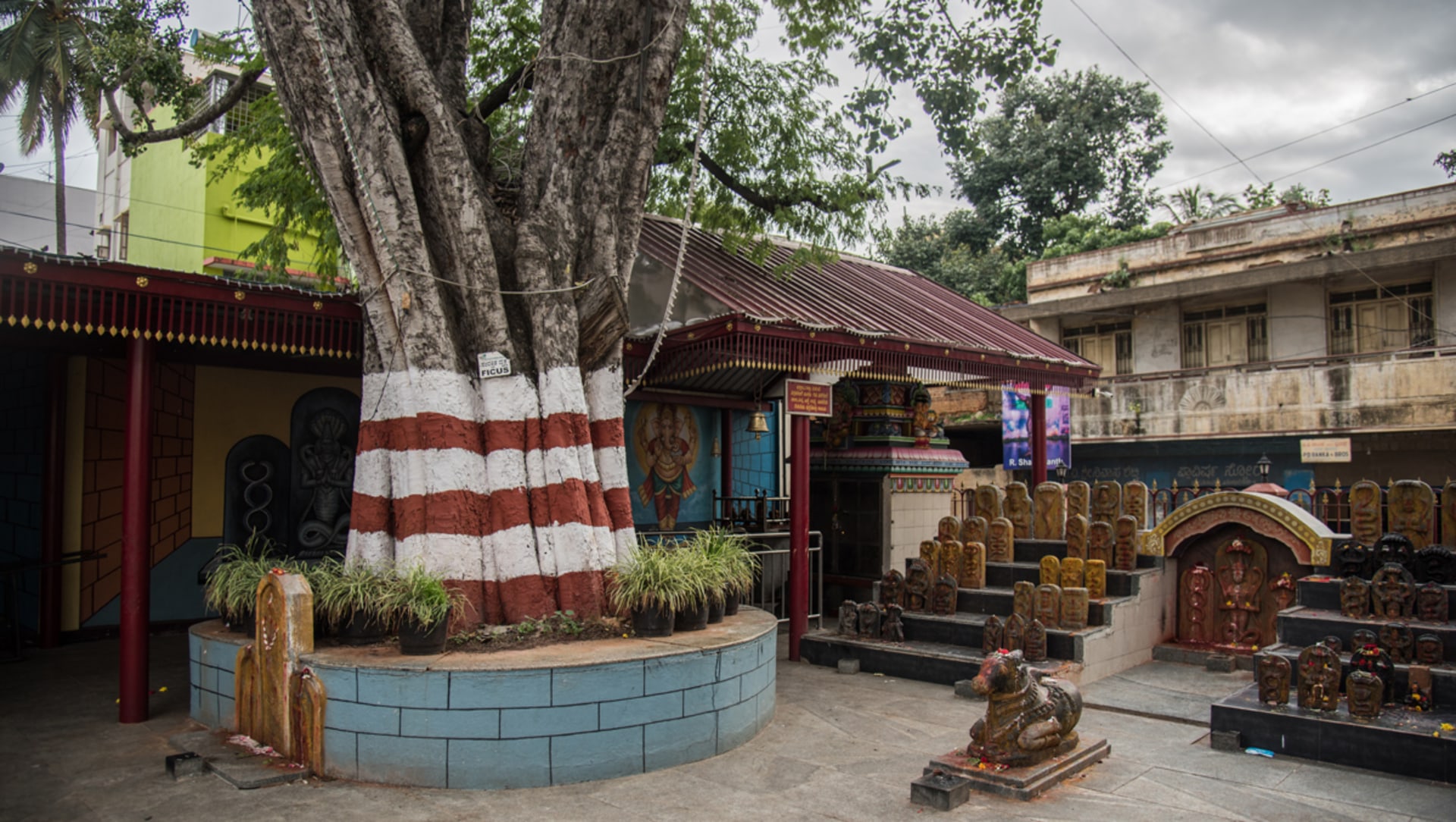 How Sacred Sites in Bengaluru Safeguard Trees