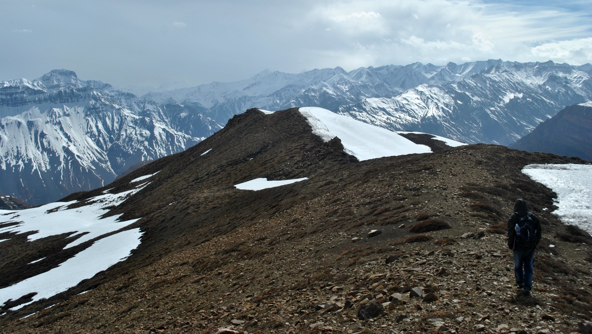 Seeking the Elusive Stone Marten in the Wilds of Spiti Valley