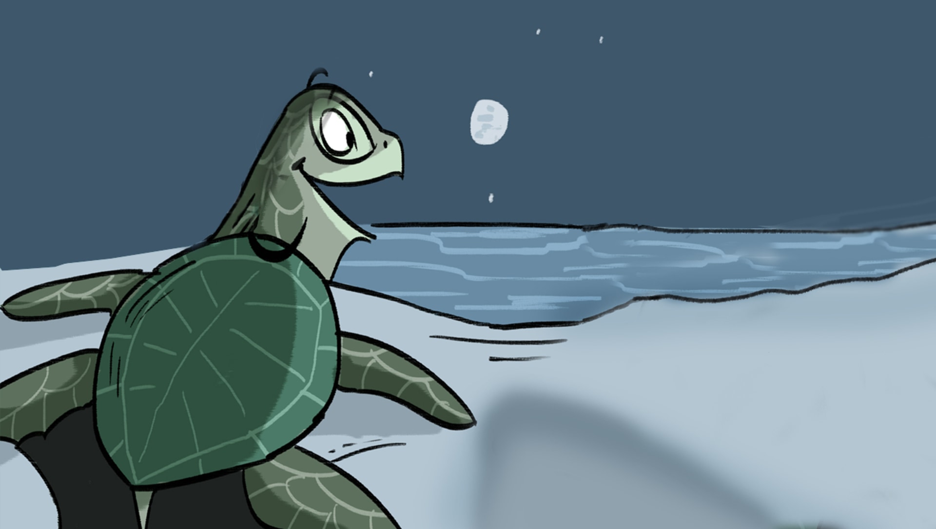 The Sea Turtle’s Annual Reunion