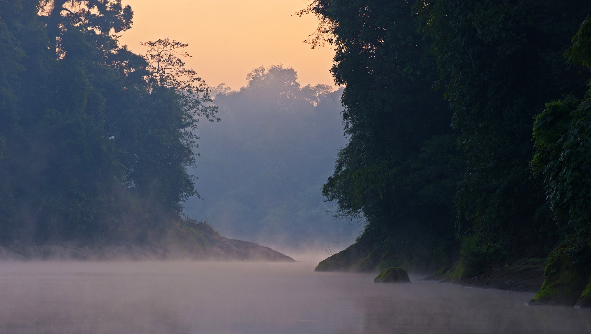 The Guide: Dehing Patkai Wildlife Sanctuary