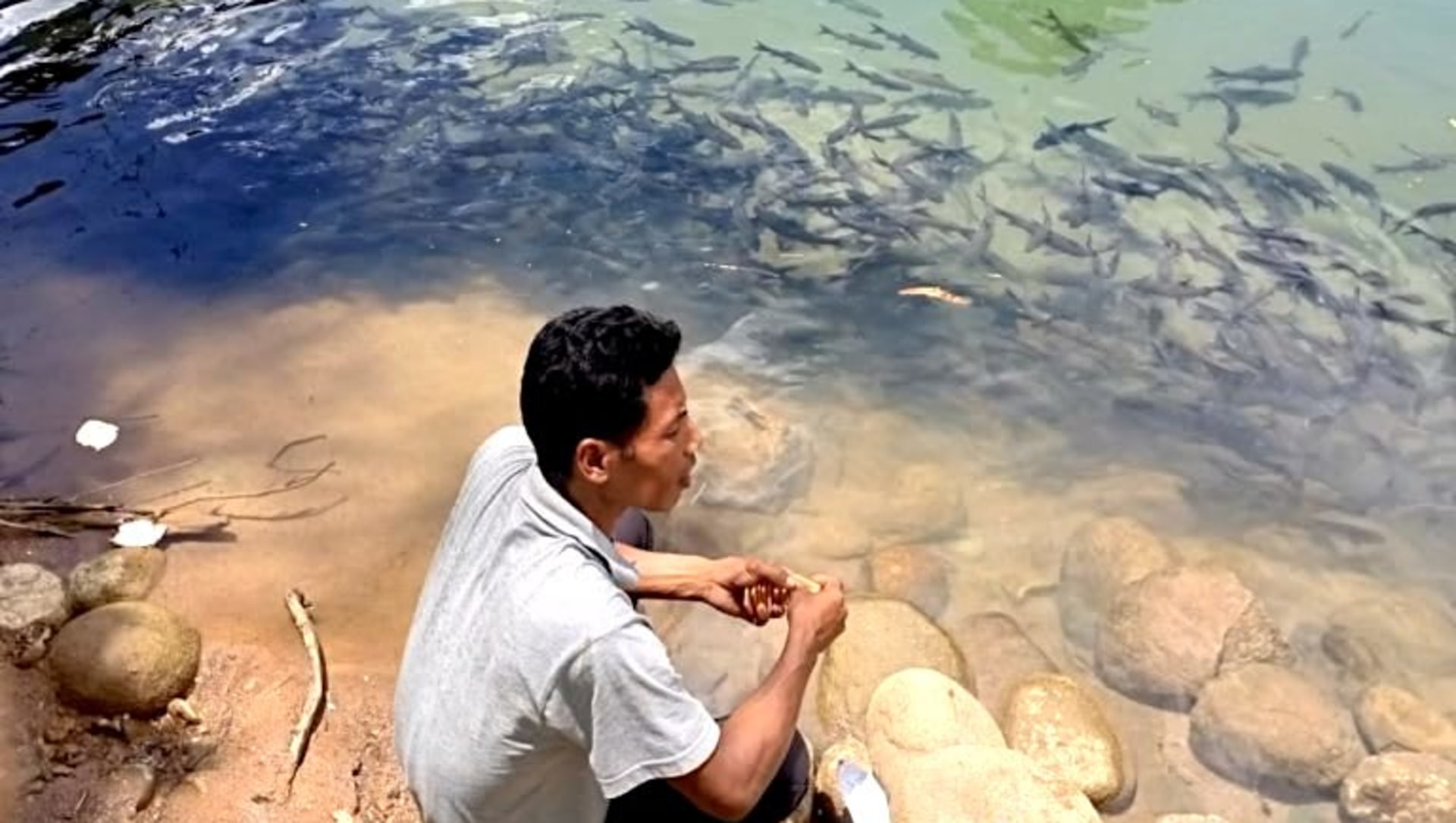 Community Efforts Guide Mahseer Protection in Meghalaya