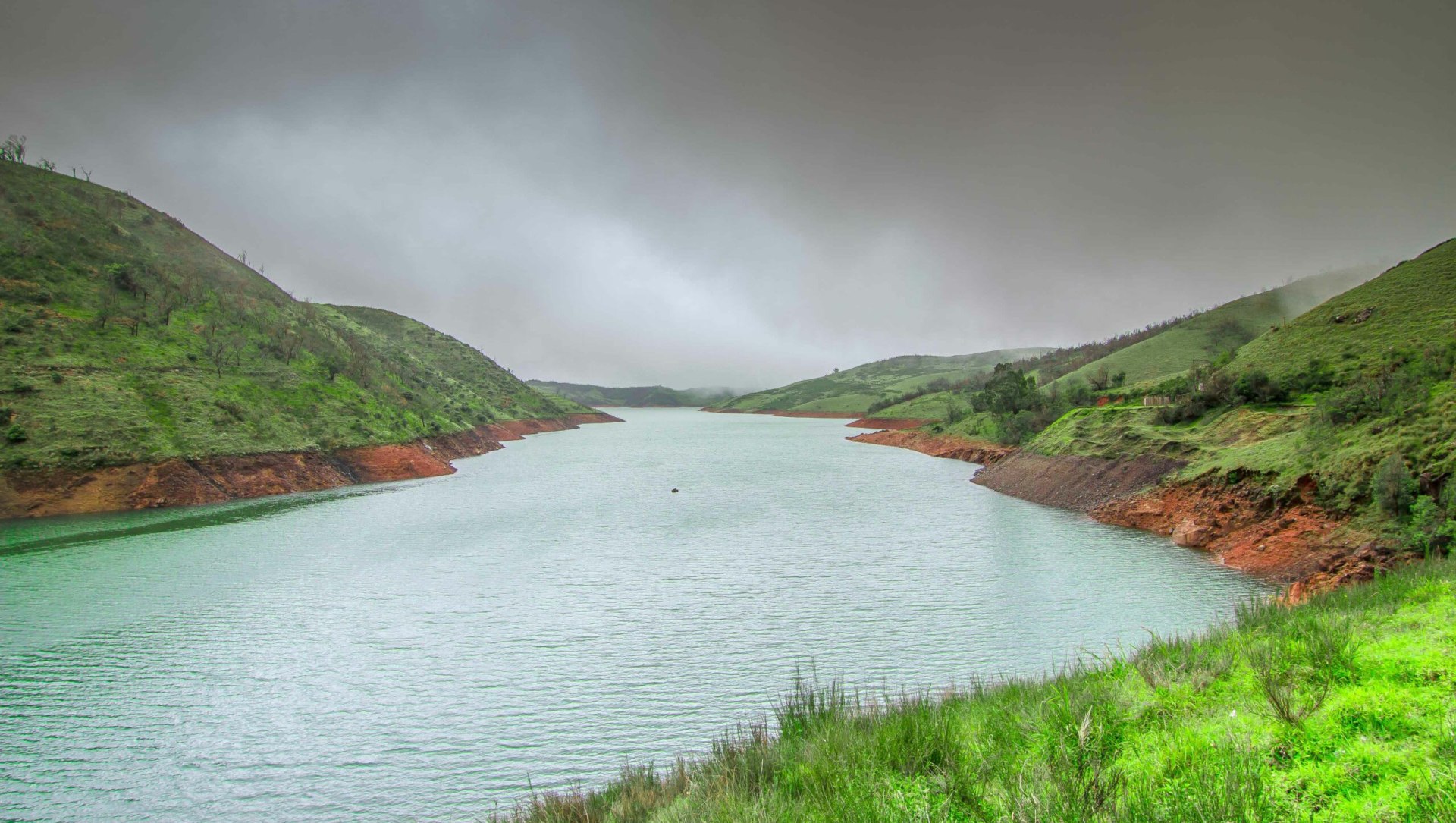 Troubled Waters: Alien Plants and Water Stress in the Nilgiris