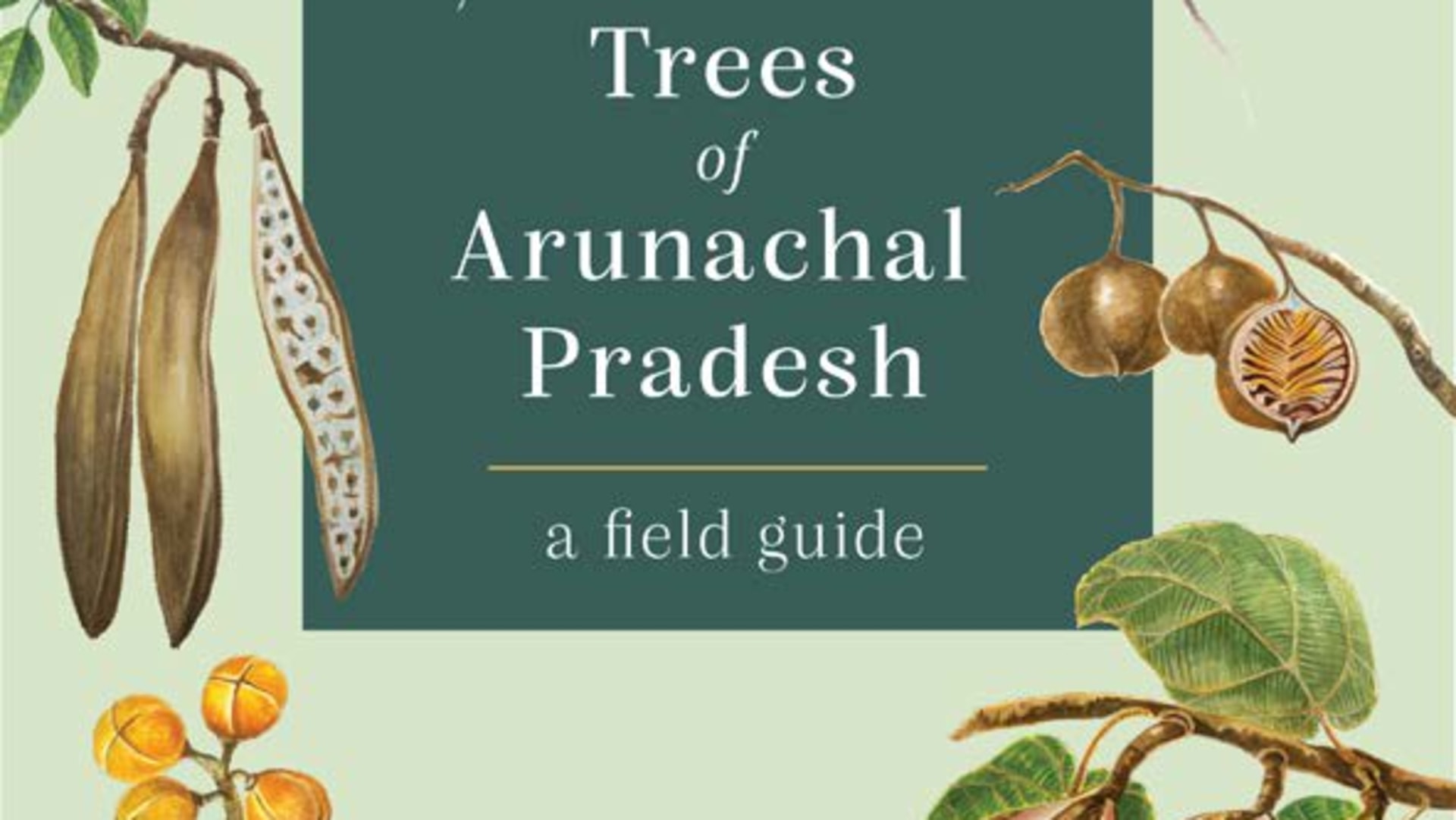 The Woody Wonders of Arunachal Pradesh and How to Identify Them