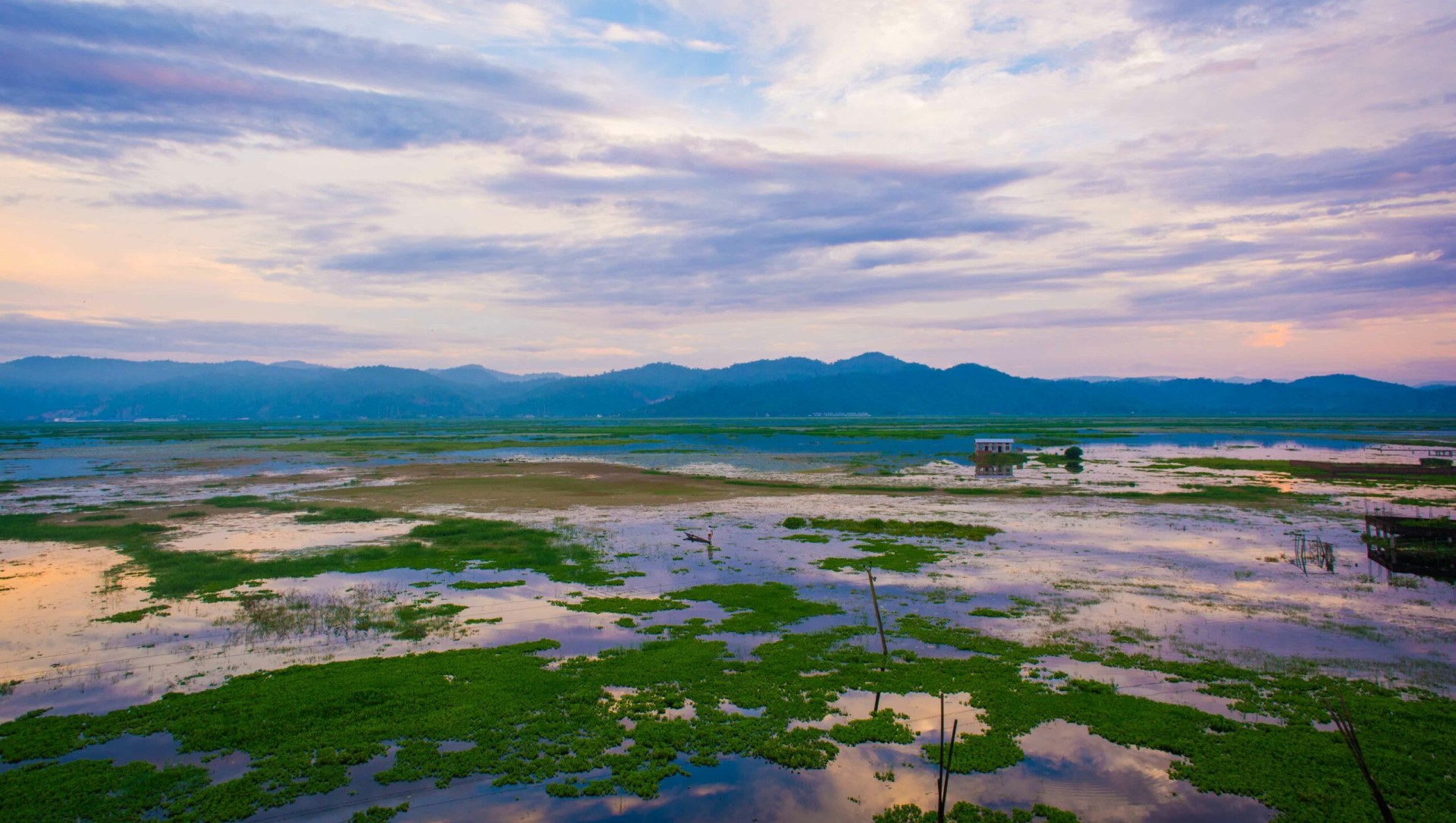 Protecting Deepor Beel’s Elephants from Train Collisons