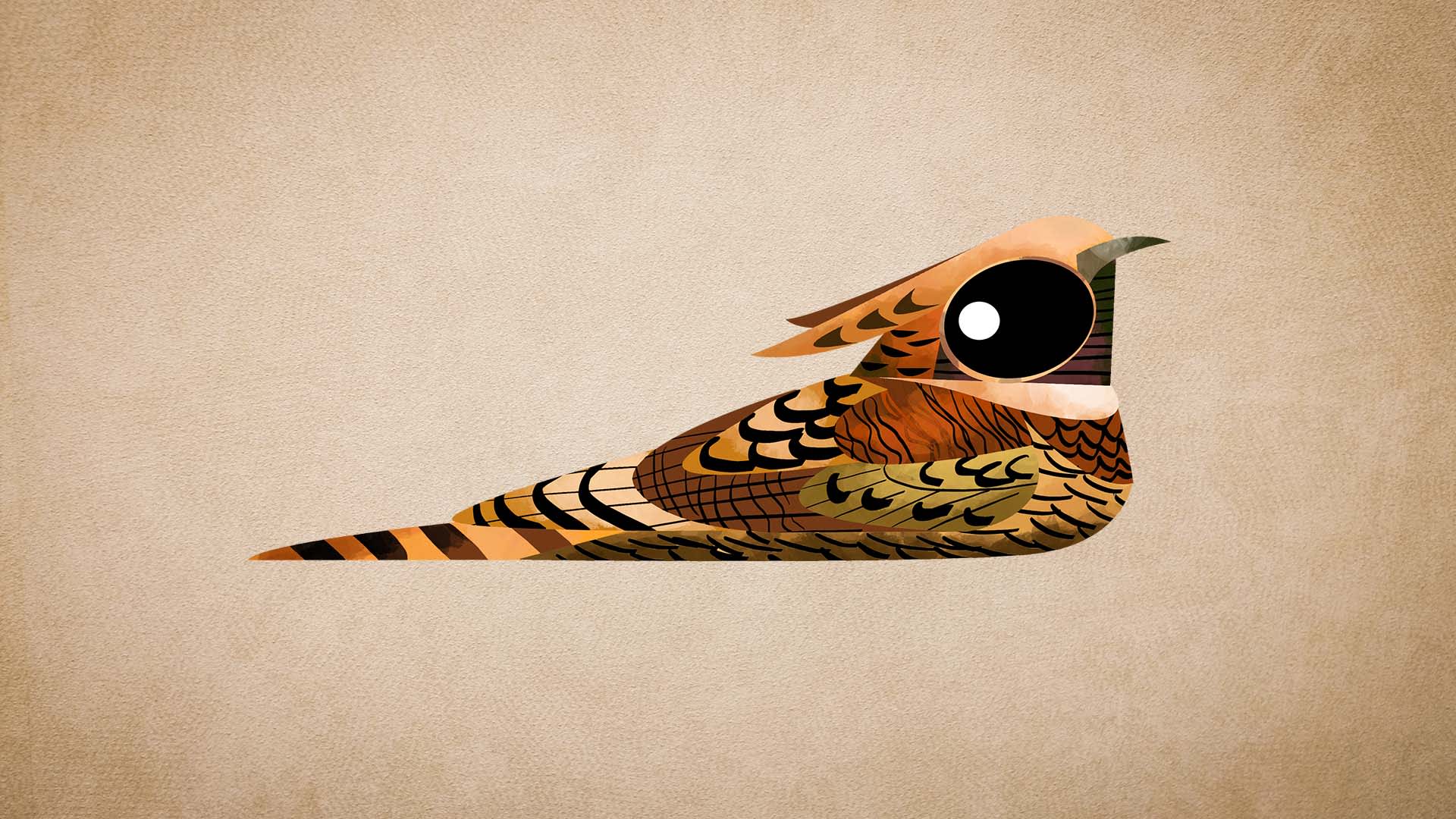 Nightjars: Facts, Habitat, Threats | RoundGlass | Sustain