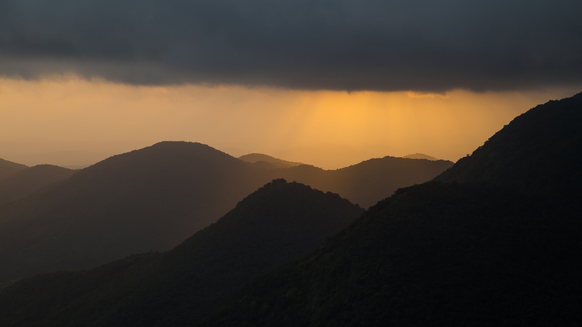 When the Monsoon Awakens Agumbe