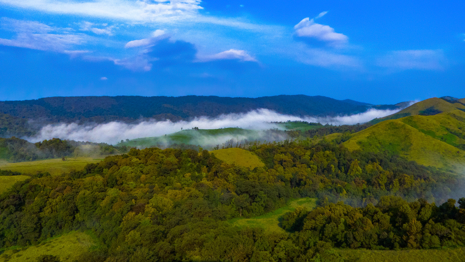 Agumbe The Exalted Rainforest Paradise A Guide RoundGlass Sustain