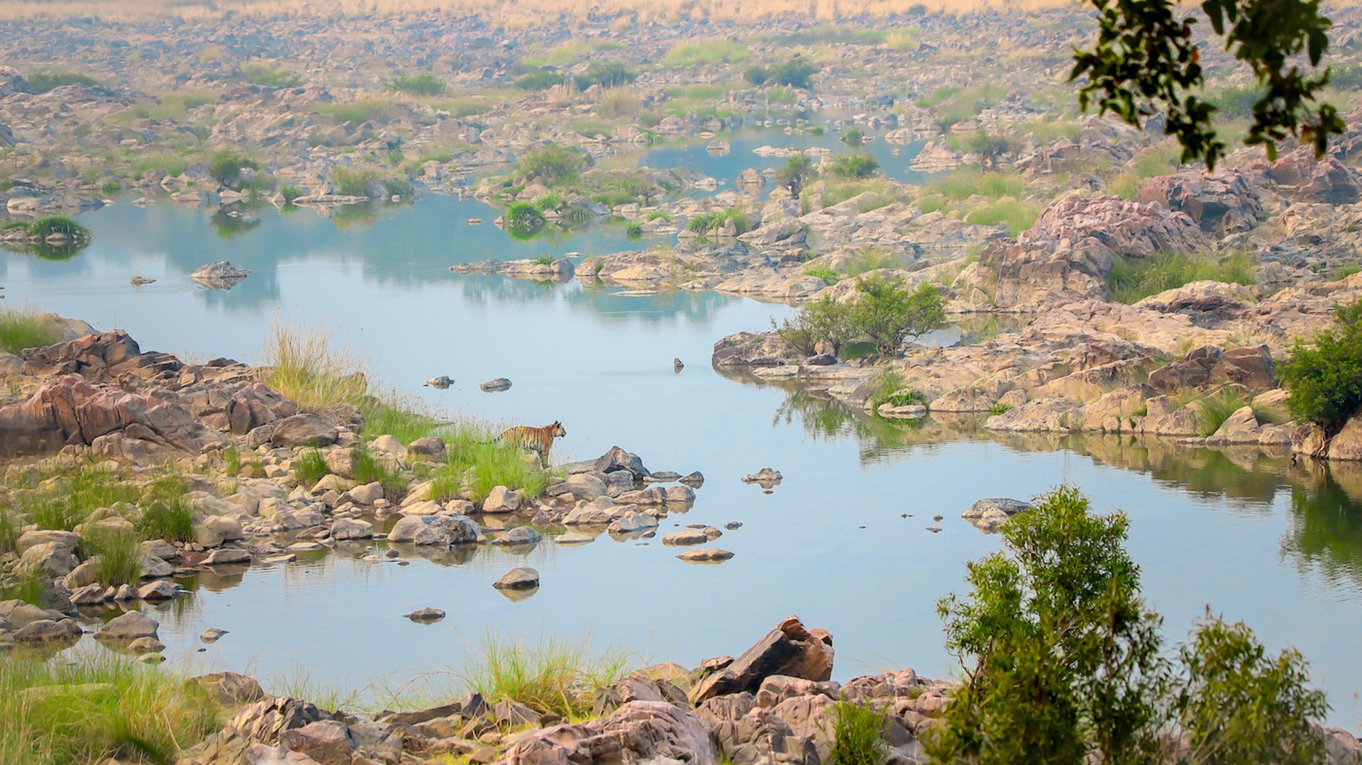 The Guide: Panna Tiger Reserve, Madhya Pradesh