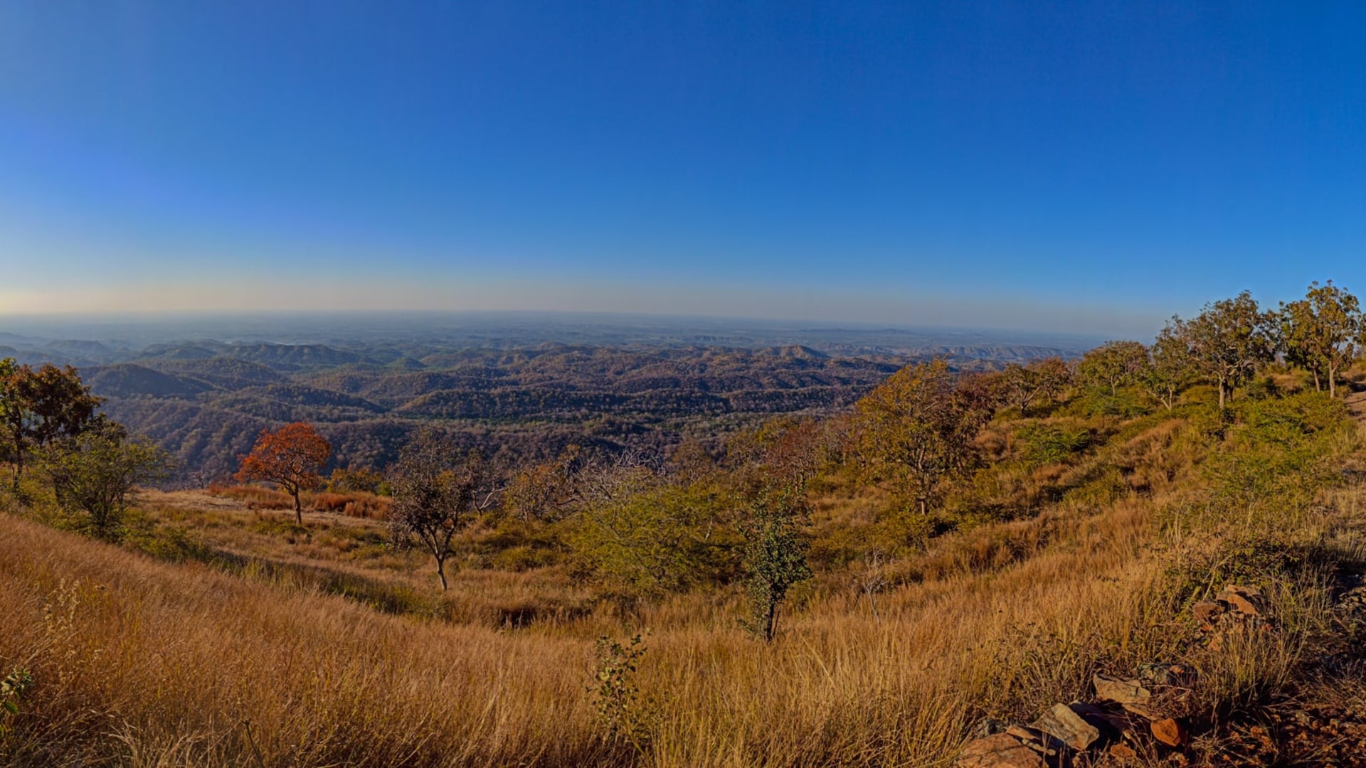 Myth and Reality in Rajasthan’s Sitamata Wildlife Sanctuary