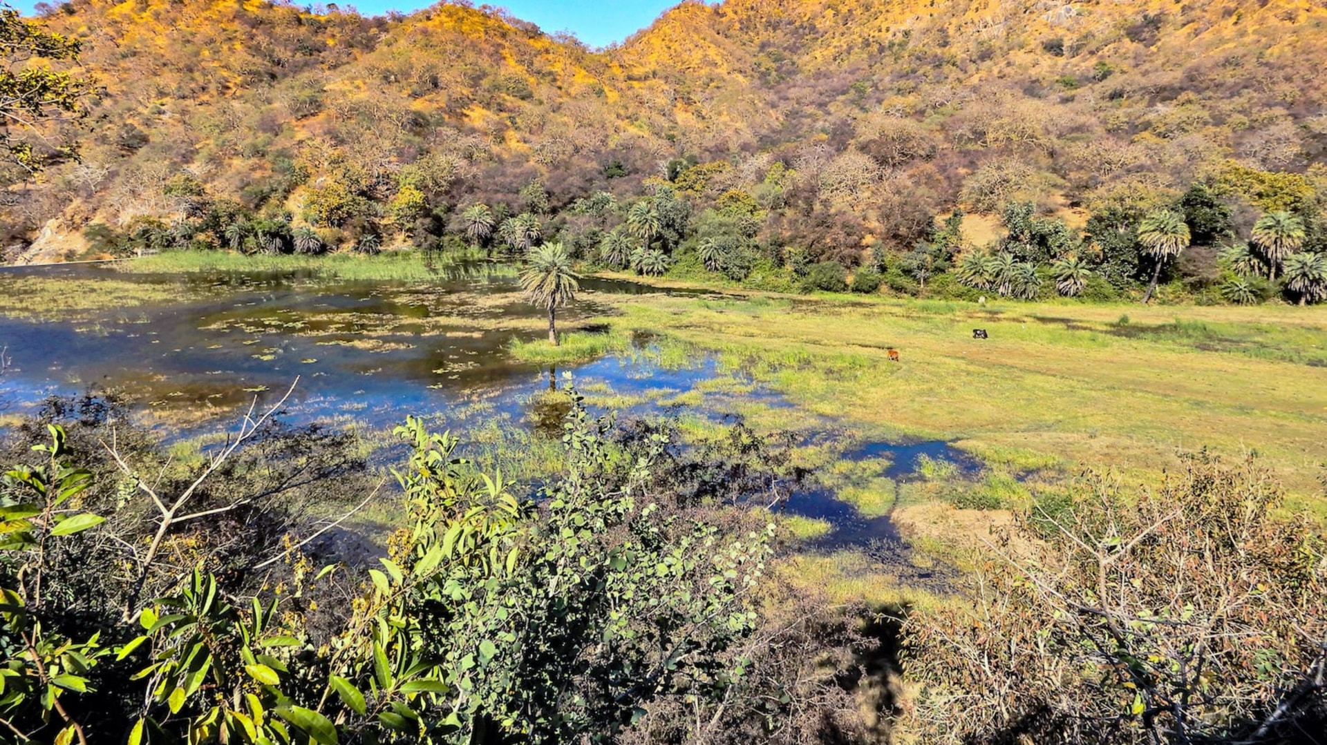 The Guide: The Twin Sanctuaries of Kumbhalgarh and Todgarh-Raoli