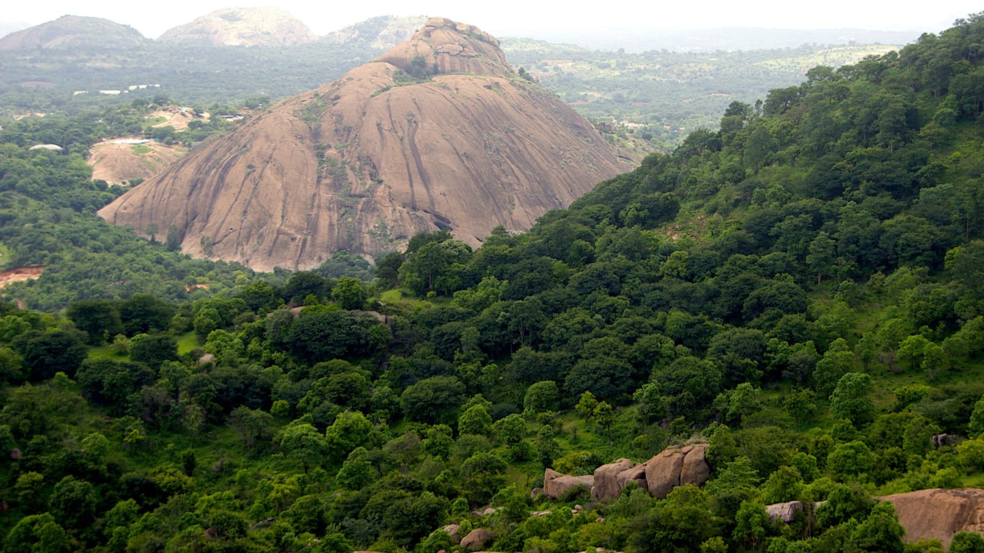 Ramadevarabetta: A Vulture Sanctuary in Rapidly Urbanising Ramanagara