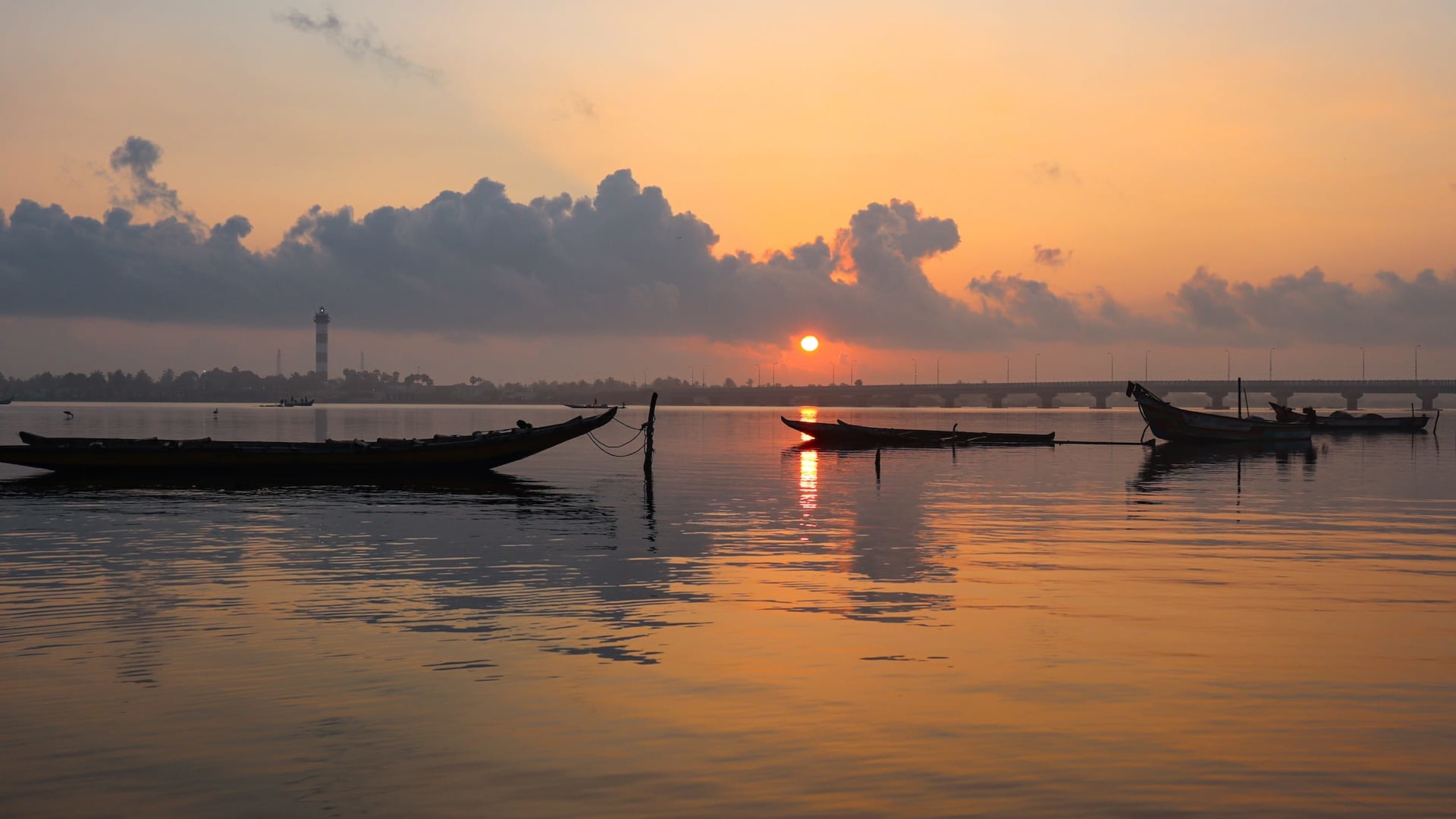 Lake Life: Pulicat, the Bird Haven