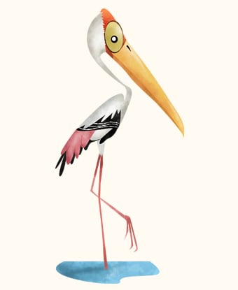 Painted stork