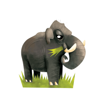 Asian elephant