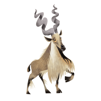 Kashmir markhor