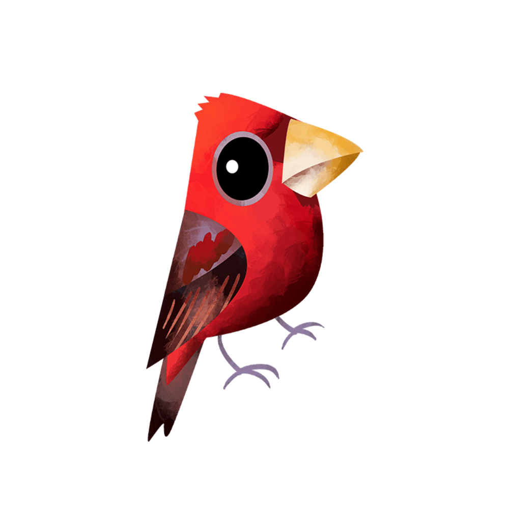 Scarlet finch