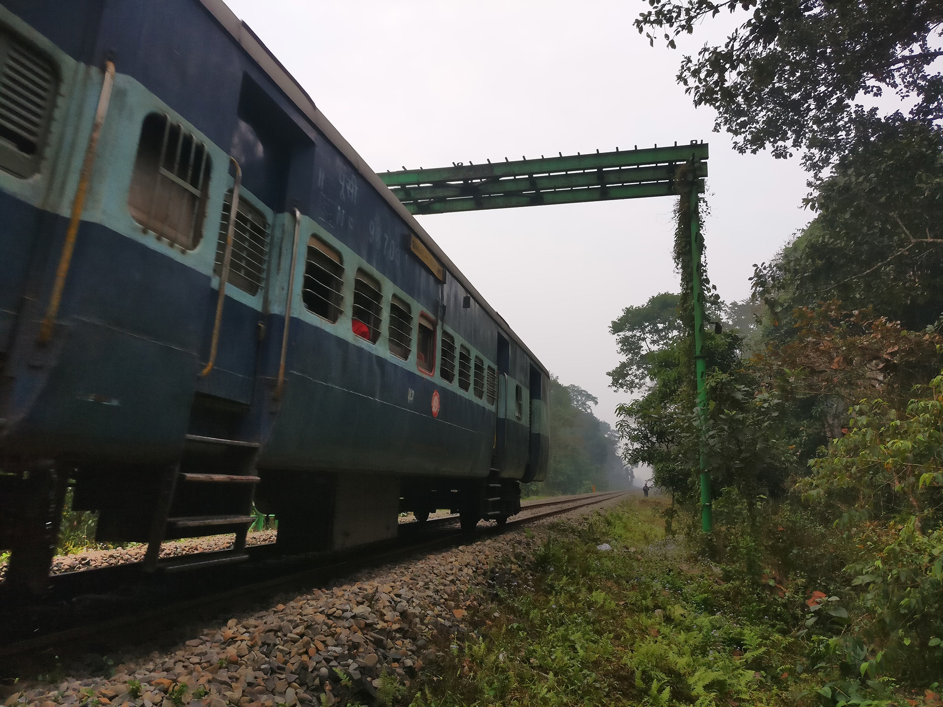 In order to build the railway tracks, a large number of trees were cleared, creating a gap in the forest canopy. Without their beloved trees, the gibbons could not cross over to the other side. They were cut off from food sources and potential mates, forced to survive on what was available.  Photo: Abhilash Kar