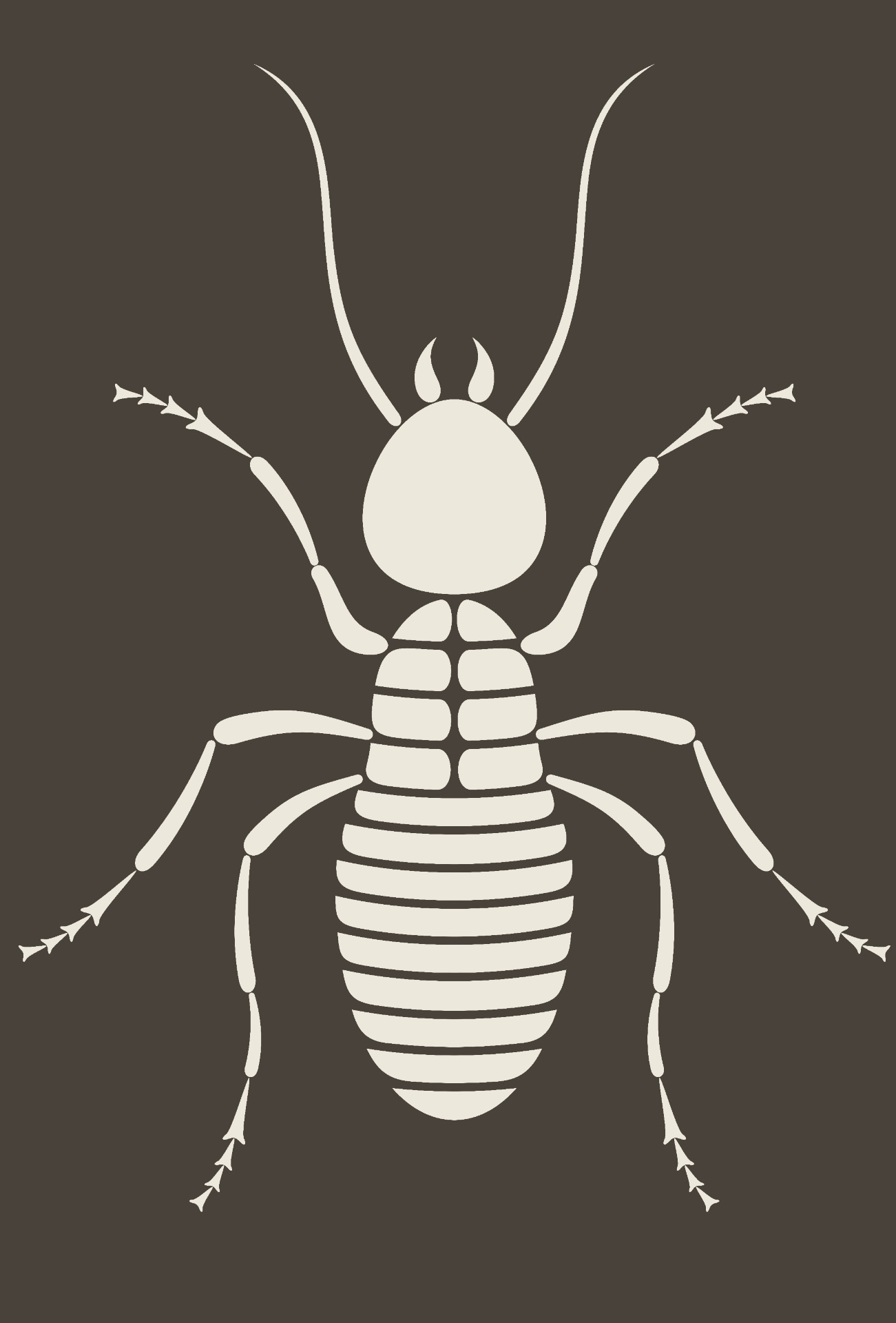 They are over 3,000 termite species in the world and 300 in India. Photo: Aliaksei 7799/Shutterstock