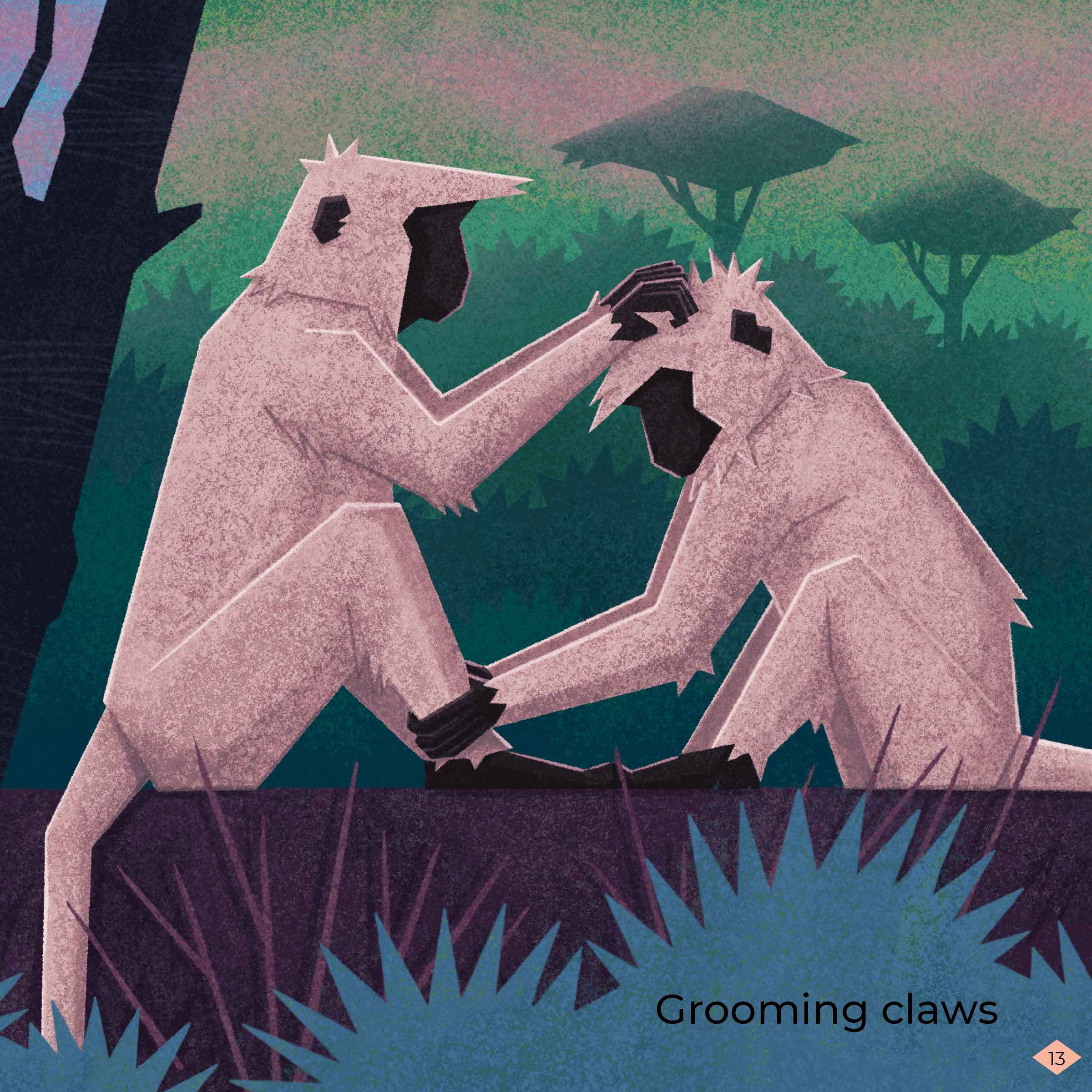 Monkeys use their claws to pick lice from each other’s hair. Grooming is a way to make friends, stay clean, and win favours from elders.