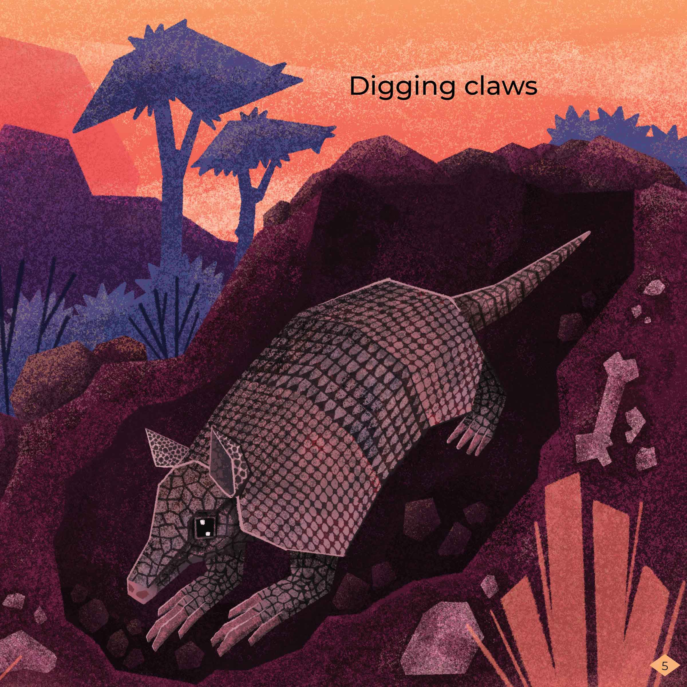 Armadillos have huge front claws with which they dig deep into the earth to reach ants and termites. 