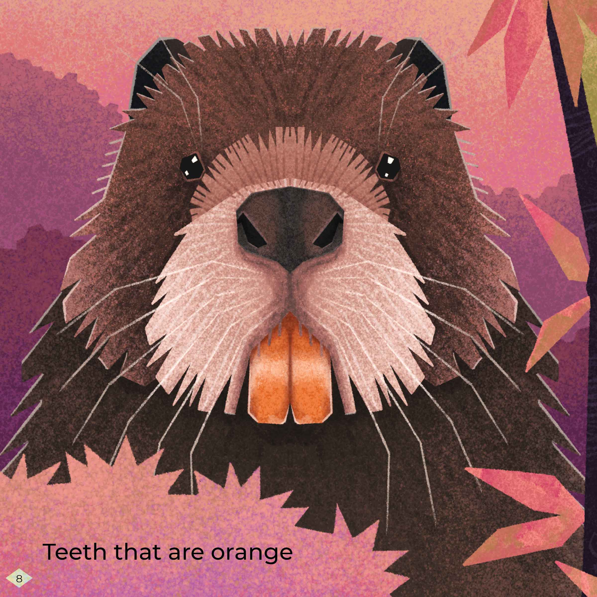 Beaver teeth have a coating of iron, which makes them orange and also very strong. 