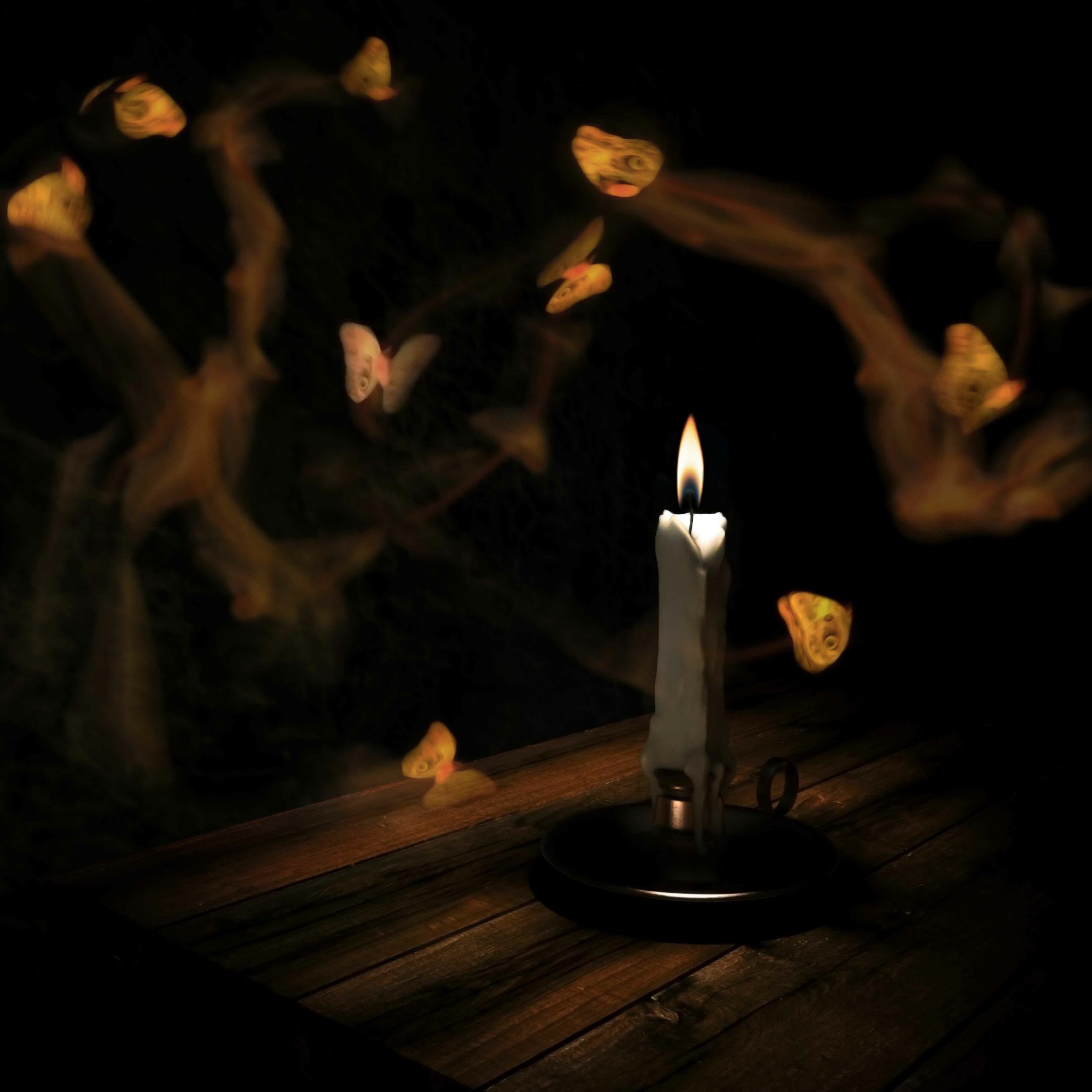 Moths flitting dangerously close to a flame have inspired metaphors and tales in several cultures — from Persian poetry to Bollywood songs — often made in reference to a fatal attraction. Photo: Doug Armand/Getty Images