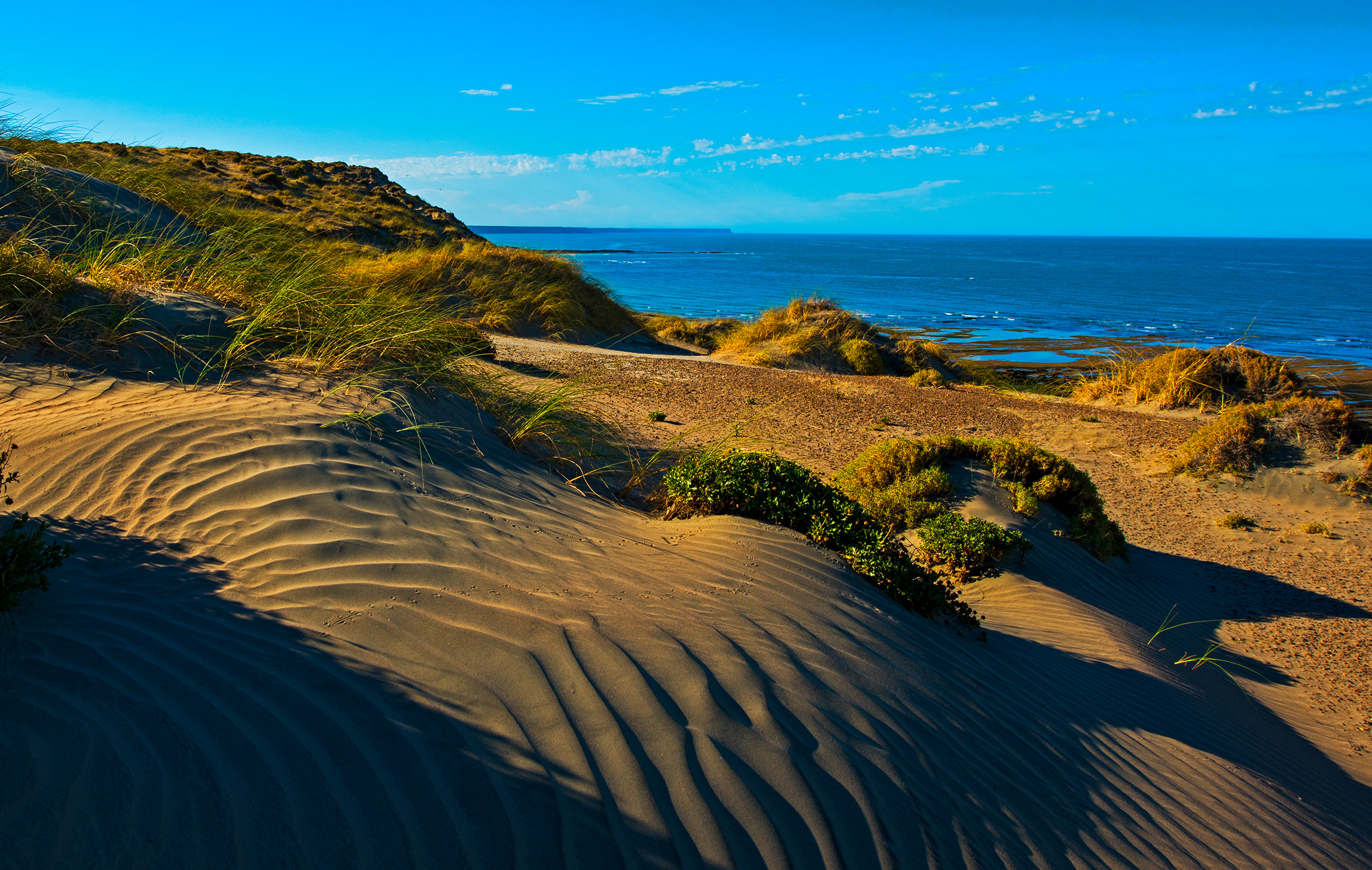 The Valdes Peninsula is almost an island surrounded by the Atlantic Ocean. It is connected to the mainland by a narrow isthmus. Hundred-metre high seaside cliffs, sandy or gravelly shores, and Patagonian scrub dominate the habitat, yet it supports a wealth of wildlife.