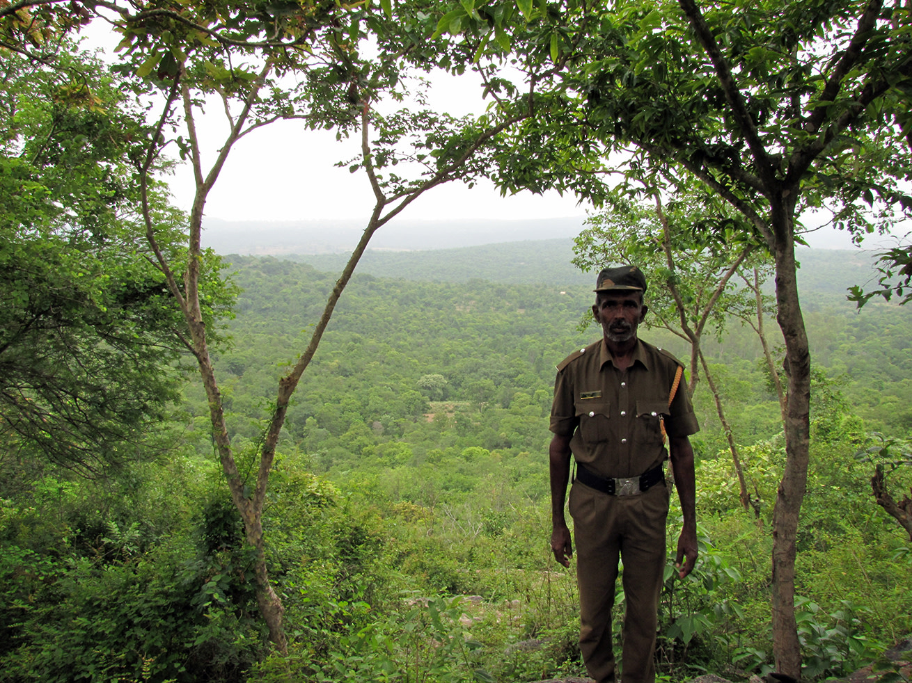 Basappa spends every day of his life protecting the dense forests around his village, where elephants and leopards roam.